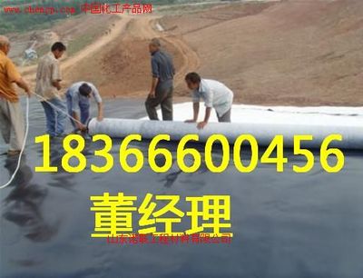 河北玻纖格柵廠家 諾聯(lián)高清圖片_產(chǎn)品圖_樣板圖 - 中國(guó)化工產(chǎn)品網(wǎng)